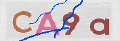 CAPTCHA-Bild