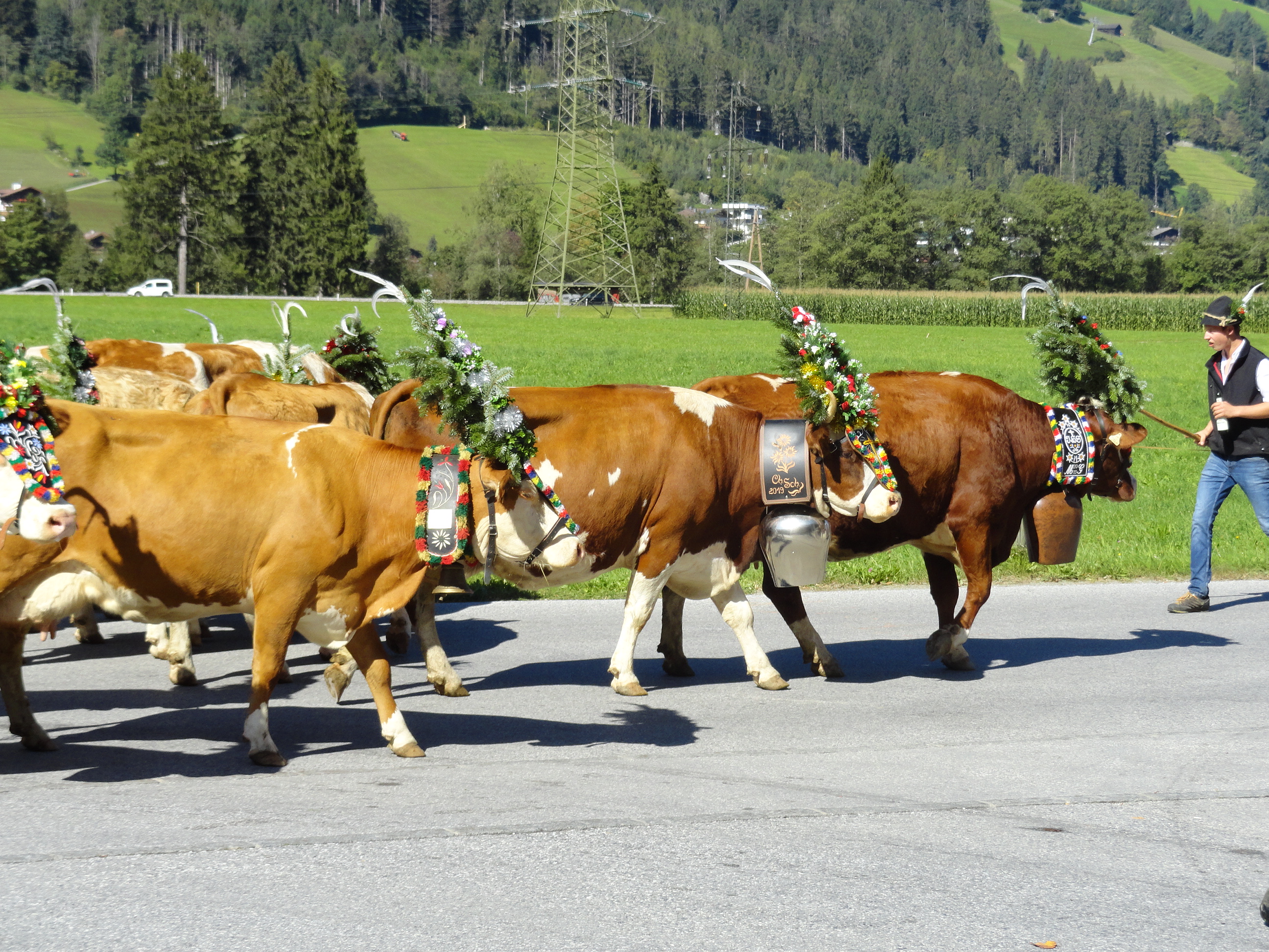 musikausflug_zillertal_2019_bericht (15)